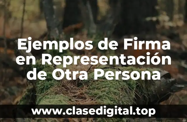 Ejemplos de Firma en Representación de Otra Persona