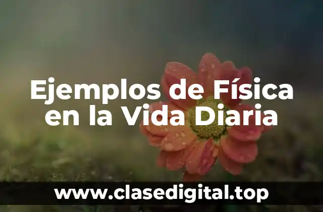 Ejemplos de Física en la Vida Diaria
