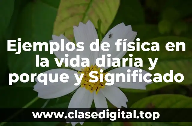 Ejemplos de física en la vida diaria y porque y Significado