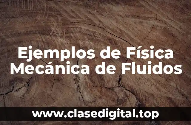 Ejemplos de Física Mecánica de Fluidos