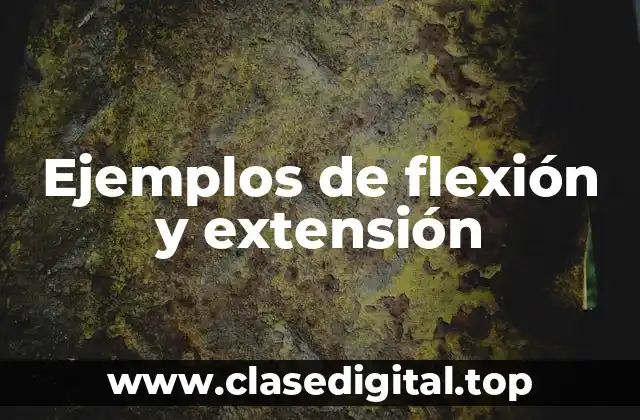 Ejemplos de flexión y extensión