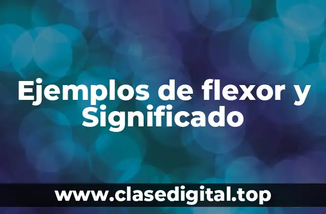 Ejemplos de flexor y Significado