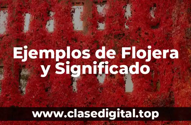 Ejemplos de Flojera