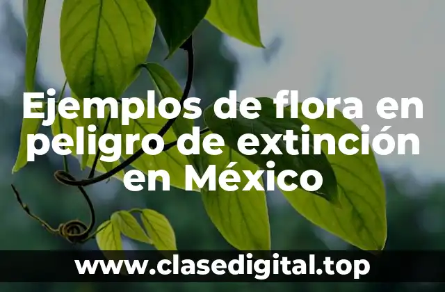 Ejemples de flora en peligro de extinción en México
