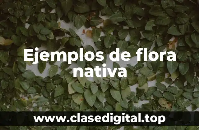 Ejemplos de flora nativa
