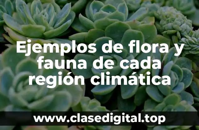 Ejemplos de flora y fauna de cada región climática