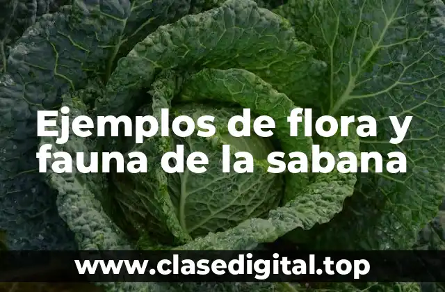 Ejemplos de flora y fauna de la sabana