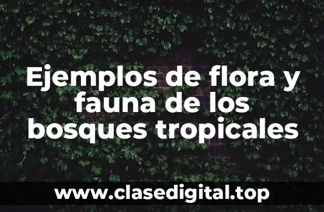Ejemplos de flora y fauna de los bosques tropicales