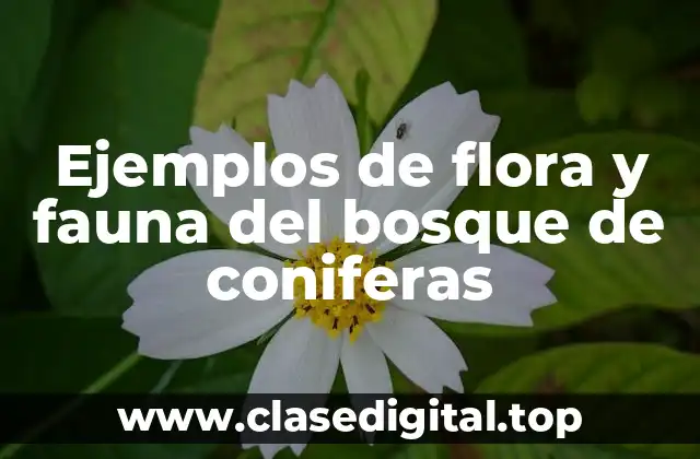 Ejemplos de flora y fauna del bosque de coniferas