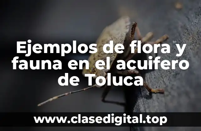 Ejemplos de flora y fauna en el acuifero de Toluca