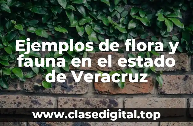 Ejemplos de flora y fauna en el estado de Veracruz