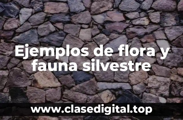 Ejemplos de flora y fauna silvestre