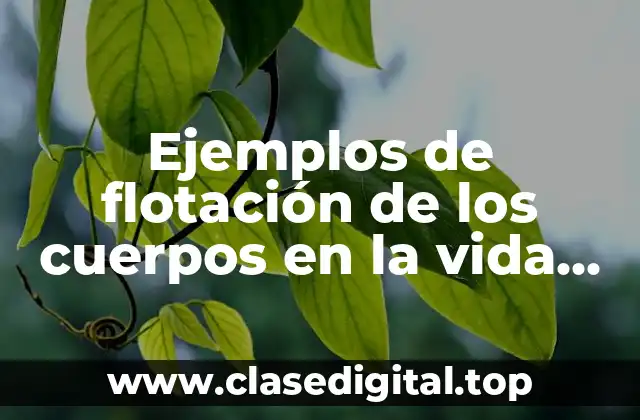 Ejemplos de flotación de los cuerpos en la vida cotidiana