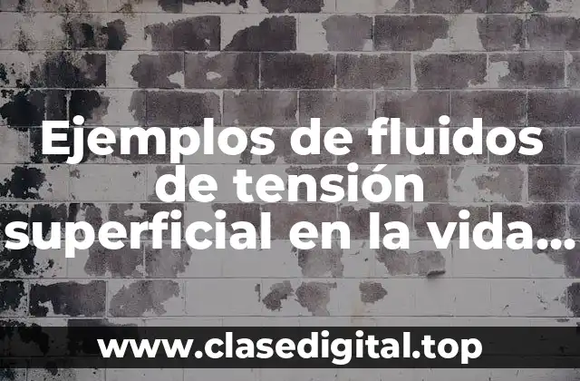 Ejemplos de fluidos de tensión superficial en la vida cotidiana