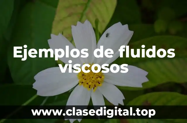 Ejemplos de fluidos viscosos