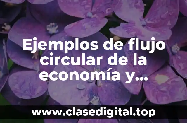 Ejemplos de flujo circular de la economía y Significado