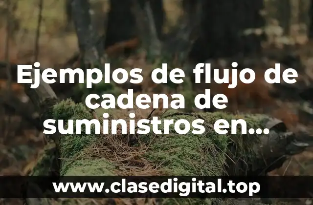 Ejemplos de flujo de cadena de suministros en mercadotecnia