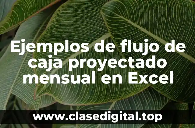Ejemplos de flujo de caja proyectado mensual en Excel
