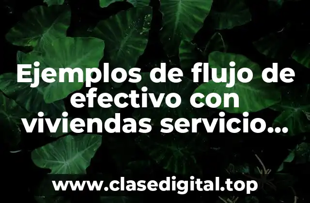 Ejemplos de flujo de efectivo con viviendas servicio alimentos