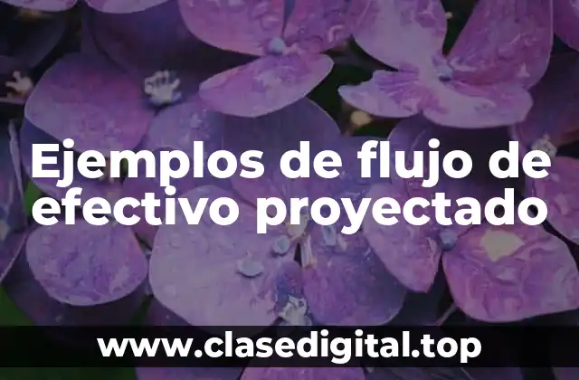Ejemplos de flujo de efectivo proyectado