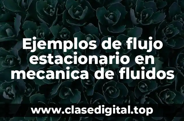 Ejemplos de flujo estacionario en mecanica de fluidos