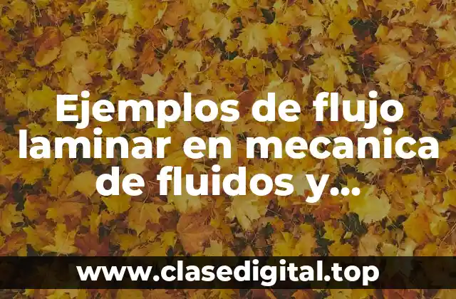 Ejemplos de flujo laminar en mecanica de fluidos y Significado