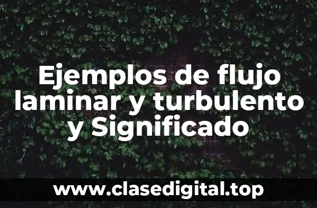 Ejemplos de flujo laminar y turbulento y Significado
