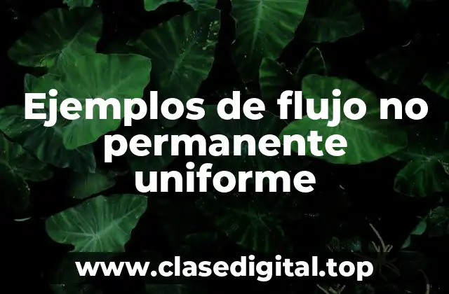 Ejemplos de flujo no permanente uniforme