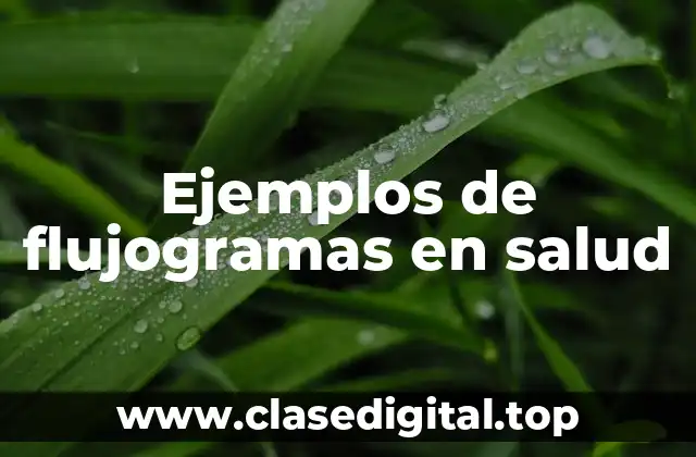 Ejemplos de flujogramas en salud
