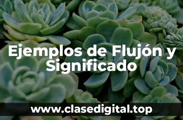 Ejemplos de Flujón y Significado