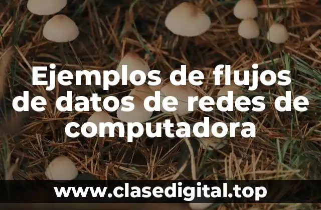 Ejemplos de flujos de datos de redes de computadora