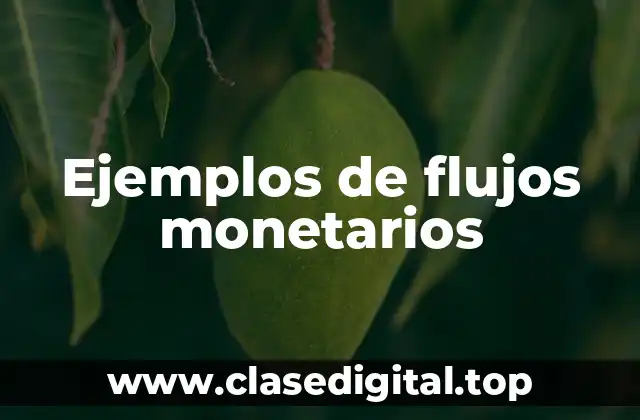 Ejemplos de flujos monetarios