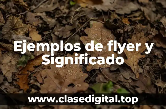 Ejemplos de flyers