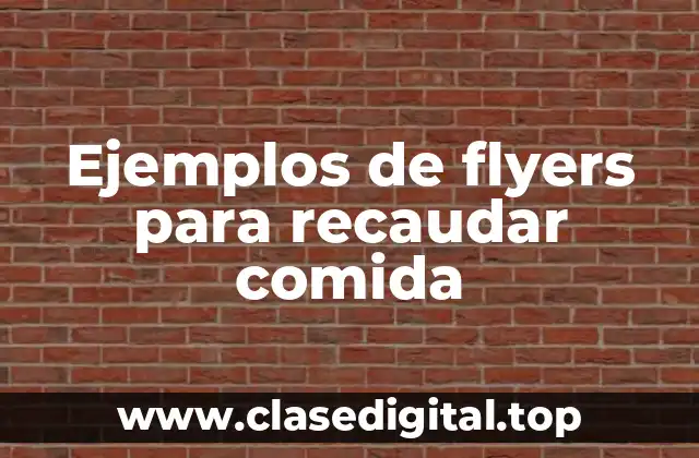 Ejemplos de flyers para recaudar comida