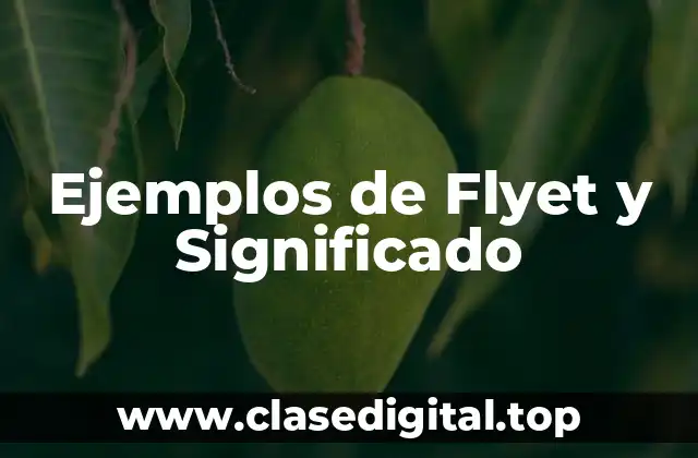 Ejemplos de Flyet