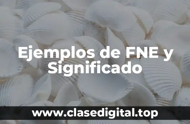 Ejemplos de FNE y Significado