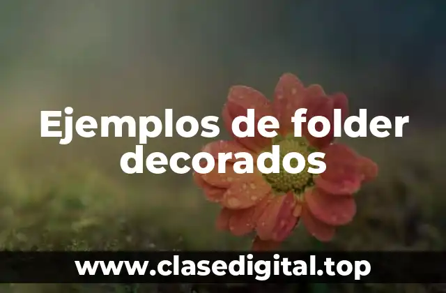 Ejemplos de folder decorados