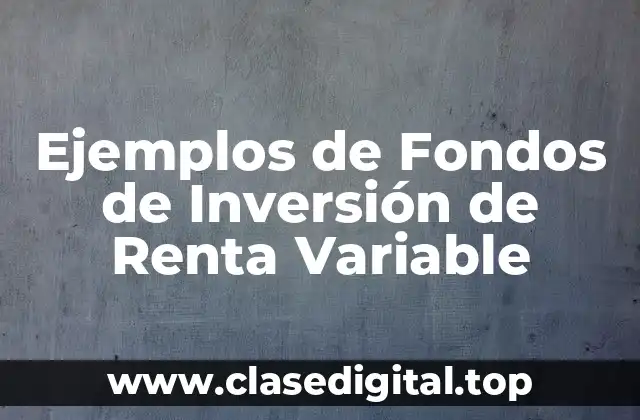 Ejemplos de Fondos de Inversión de Renta Variable