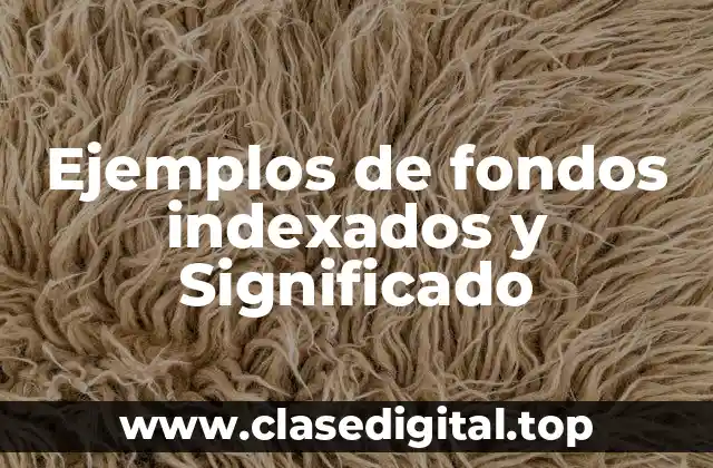 Ejemplos de fondos indexados y Significado