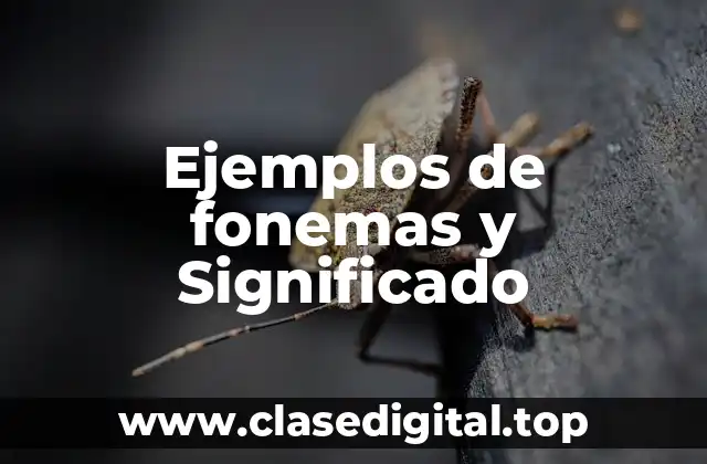 Ejemplos de fonemas y Significado