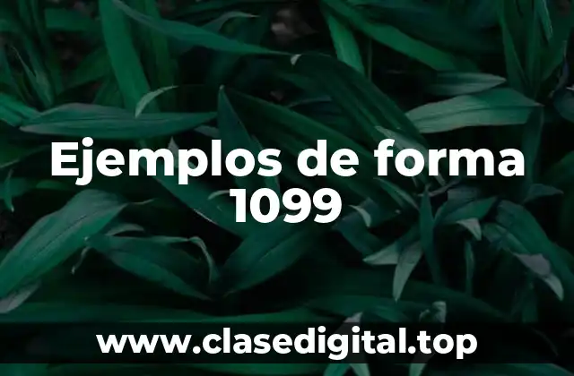 Ejemplos de forma 1099