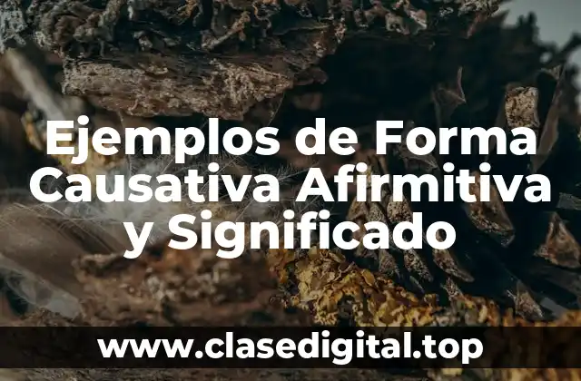 Ejemplos de Forma Causativa Afirmitiva y Significado