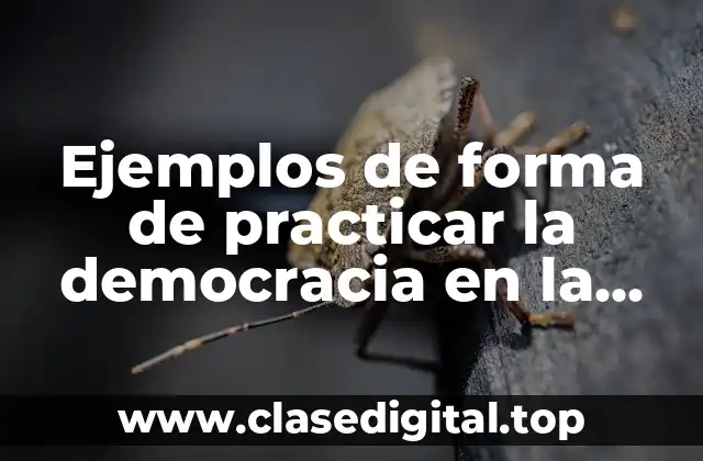 Ejemplos de forma de practicar la democracia en la comunidad