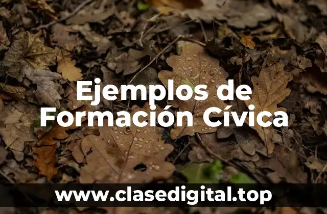 Ejemplos de Formación Cívica
