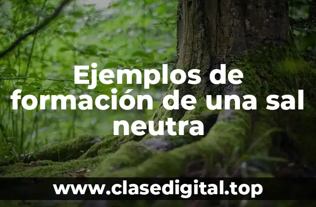 Ejemplos de formación de una sal neutra