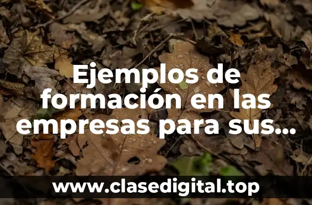 Ejemplos de formación en las empresas para sus empleados