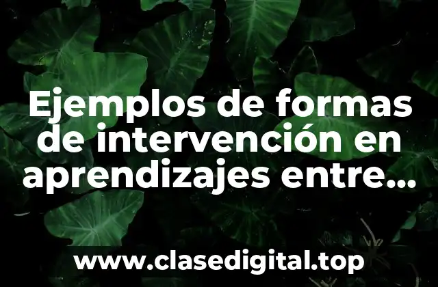 Ejemplos de formas de intervención en aprendizajes entre escuelas