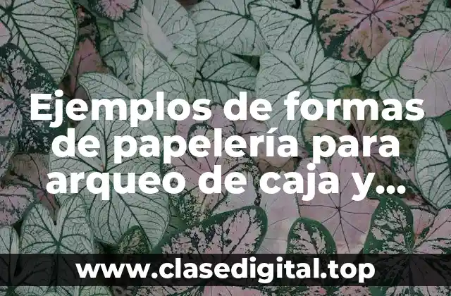 Ejemplos de formas de papelería para arqueo de caja y Significado