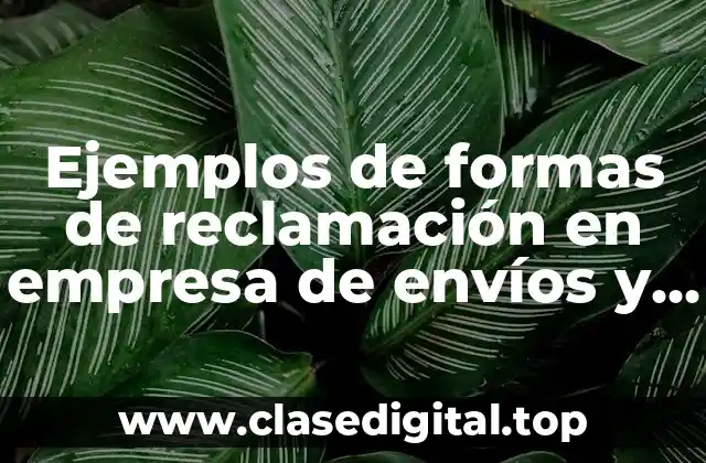 Ejemplos de formas de reclamación en empresa de envíos y Significado