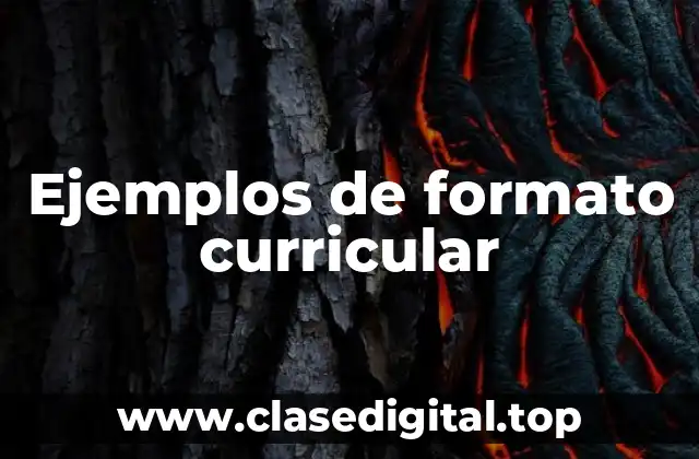 Ejemplos de formato curricular